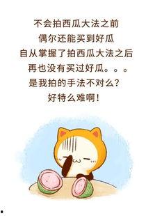 娱乐吃瓜酱拒绝精神,揭秘轻松生活之道